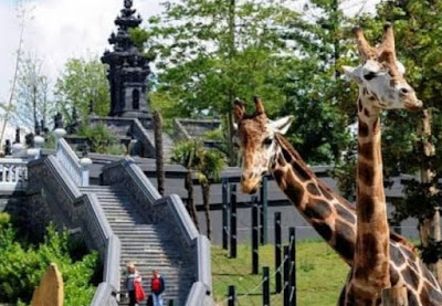 Pairi Daiza, Belgia