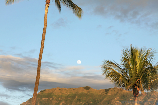 sunrisemakeshawaii,makaha,oahu,hawaii,la plage,montagne,désert,palmiers