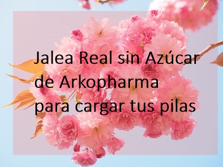 jalea real sin azucar arkopharma