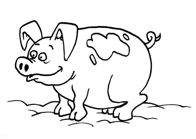 Printable cute animal pig coloring pages for kids title=