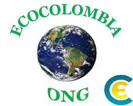 CANAL ECOCOLOMBIA ONG TV