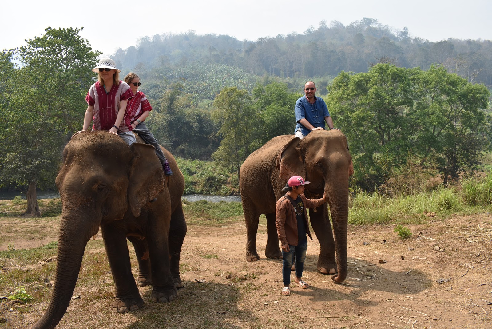 Découvrir les éléphants en thailande