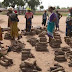 "Stop Criticizing The Federal Government Yam Export Policy, Grow Some Yams Instead" - Min of Agriculture, Chief Ogbeh
