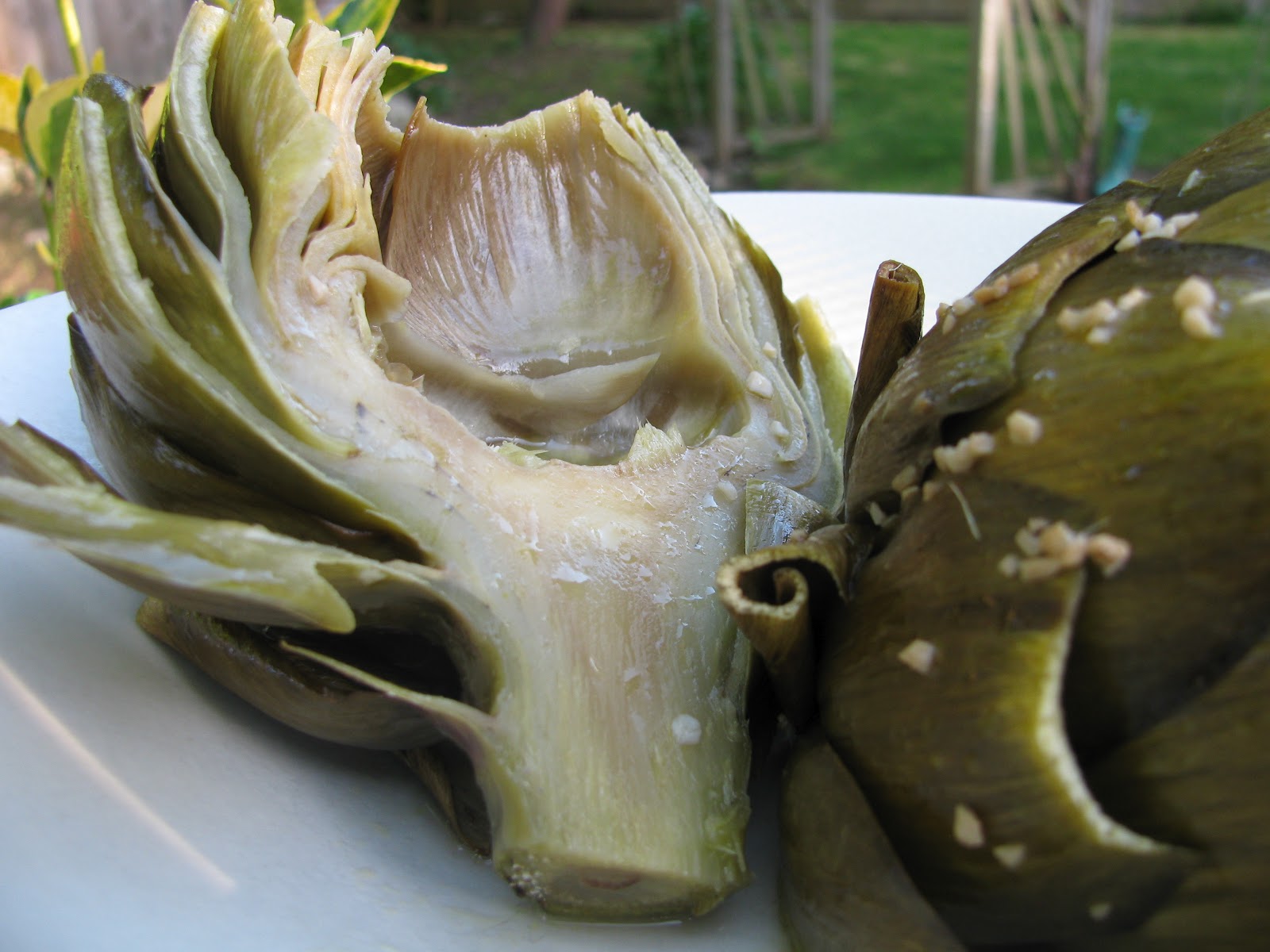 Beauties and the Feast The best way to cook an artichoke
