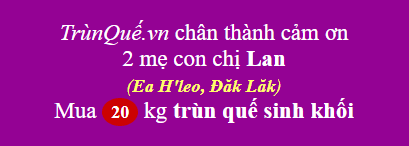 Trùn quế huyện Ea H'leo