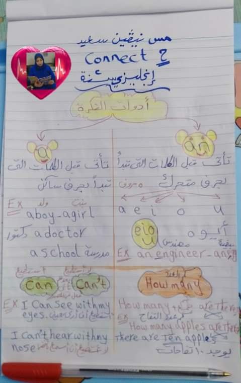 لغة انجليزية | جرامر الصف الثاني الابتدائي ترم أول ( كامل) مس نيڤين سعيد 4