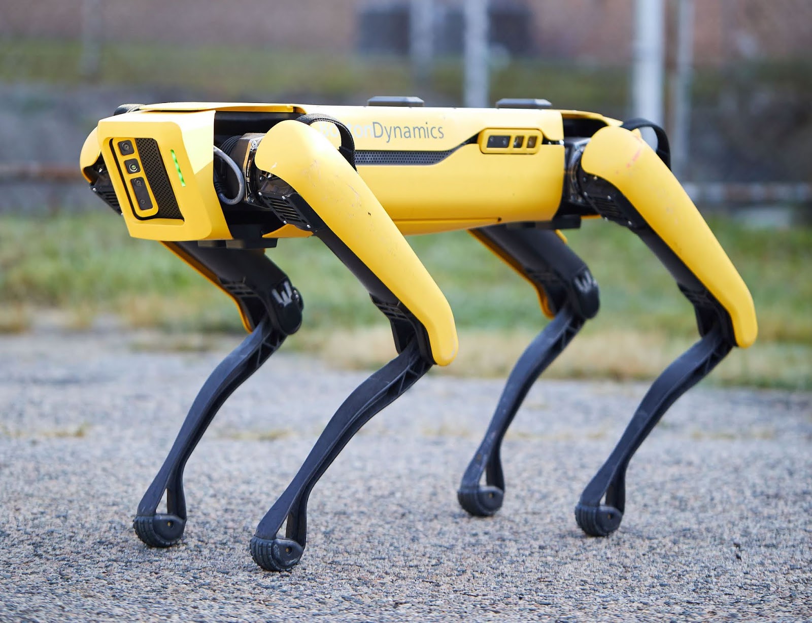 Spot-Boston-Dynamics-HTNovo.net.jpg