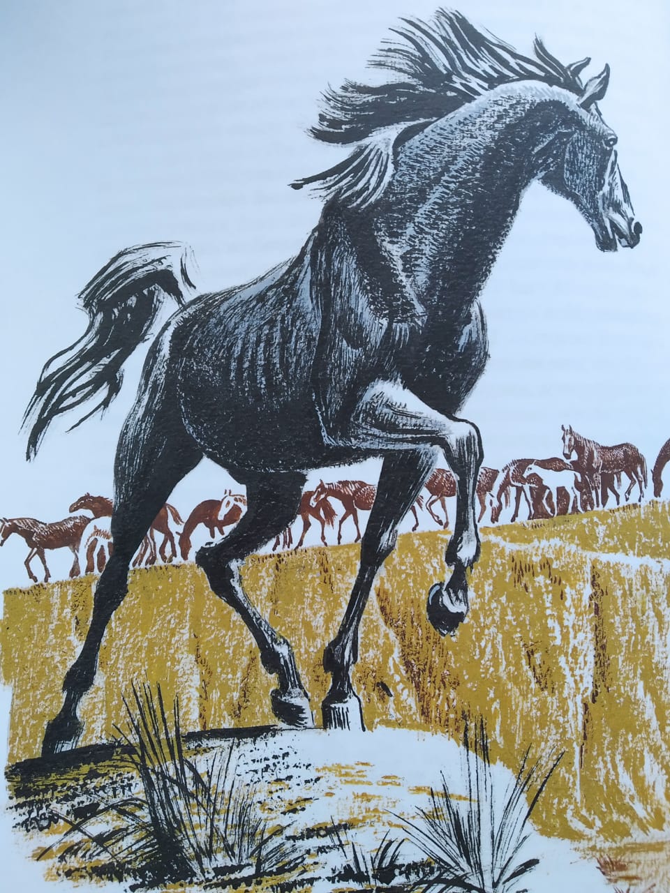 мустанг-иноходец книга. сетон томпсон иноходец. рассказ мустанг иноходец. сетон томпсон мустанг иноходец. эрнест сетон-томпсон мустанг-иноходец.