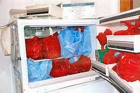 Bags of frozen fetal remains in Kermit Gosnell's clinic freezer