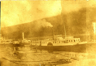 Image © and courtesy of Diana Burns