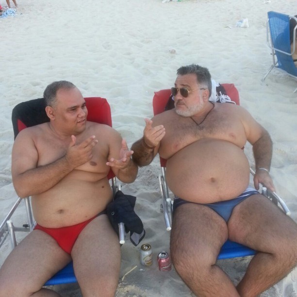 Chubby daddy. Fat Silver Bear in speedo. Bear in Beach. Chubby Bears nude Daddies Silver Santa Polar.