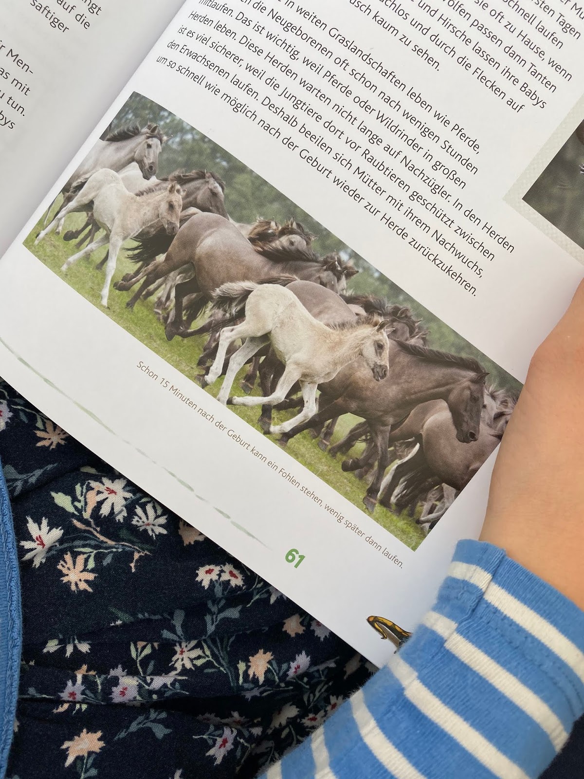 Deko Und Diy Blog Kreative Deko Ideen Fur Ein Schones Zuhause