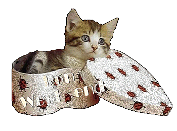 Female Mastrubation Statistics Female Mastrubation Statistics