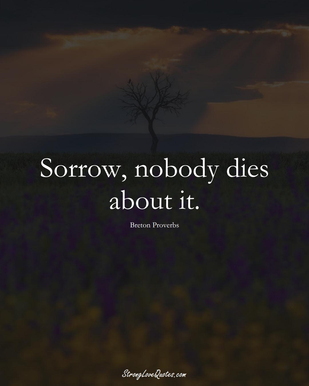 Sorrow, nobody dies about it. (Breton Sayings);  #aVarietyofCulturesSayings