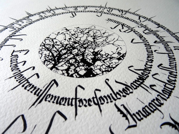 The shivering tree answers image