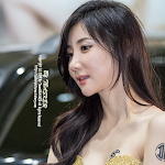 Yeon Da Bin – Seoul Auto Salon 2014 Foto 21