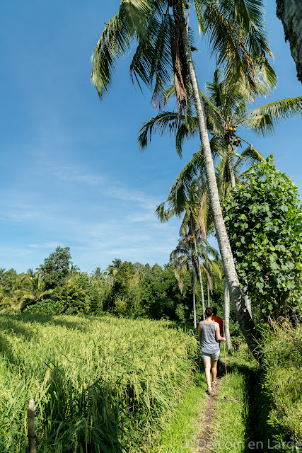 Ceking - Tegallalang - Ubud - Bali