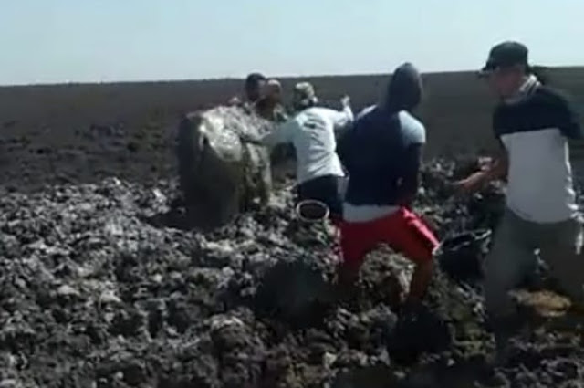 Semburan Lumpur dan Gas Beracun di Blora, Belasan Kerbau Milik Warga Tertimbun Lumpur. Semburan Lumpur dan Gas Beracun di Blora, Belasan Kerbau Milik Warga Tertimbun Lumpur.