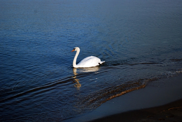 DSC_3281_00020.jpg