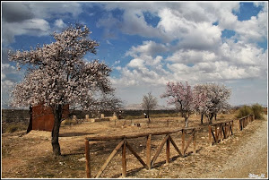 Almendros