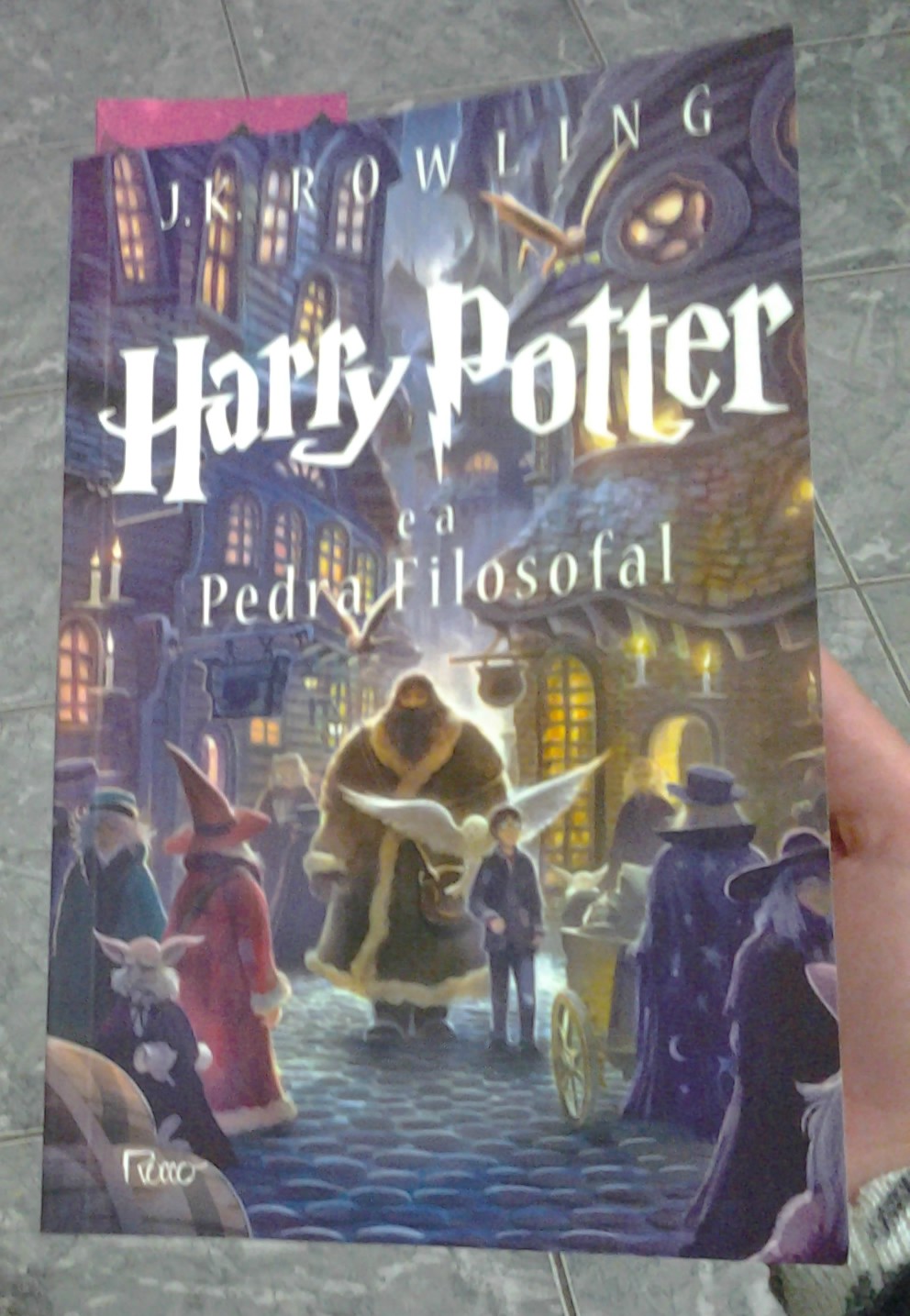 Livre Lendo... Harry Potter e A