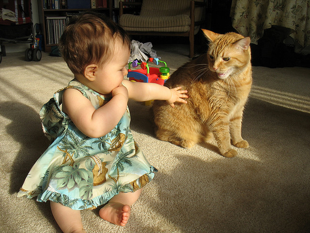 Ser madre y la confianza gato