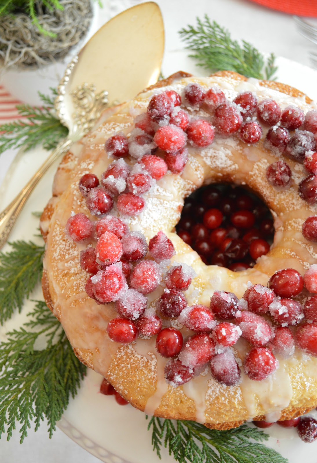 Holiday Cranberry Cake