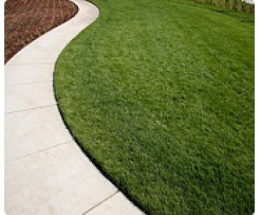 suppliers of high quality turf