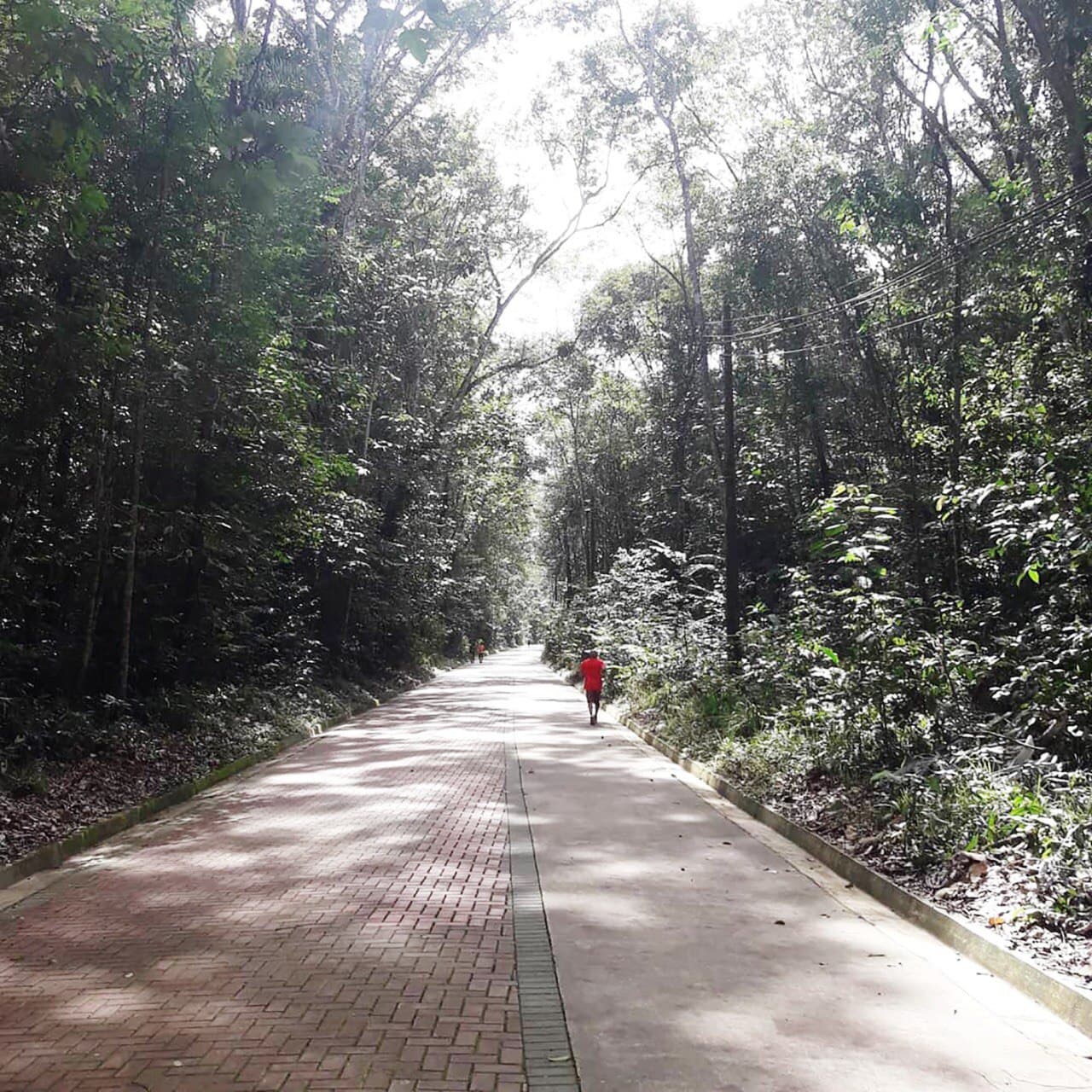Felicidade ao amanhecer: a importância das coisas simples para saúde mental. Por Walace Gomes Leal