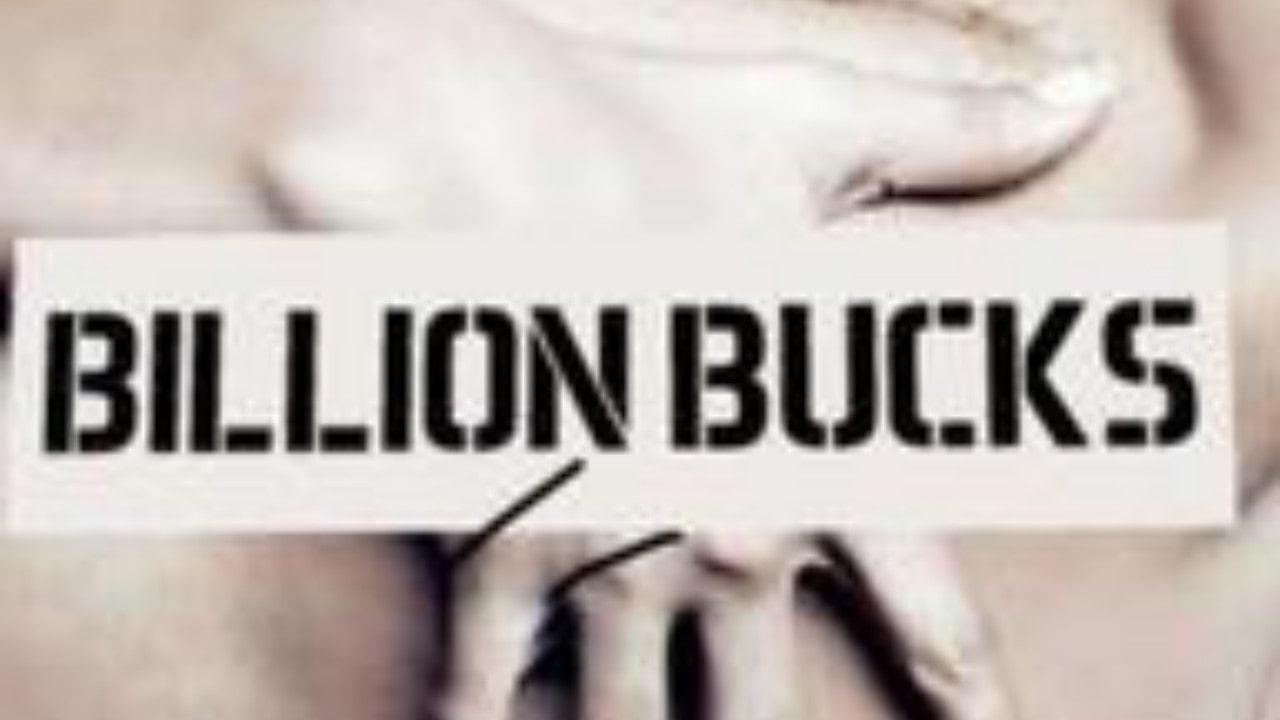 Novel Billion Bucks