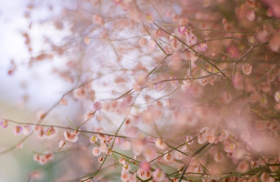 lejos ciudad zaragoza tranquera nuévalos