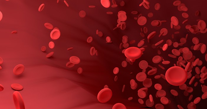 Bagaimana Komposisi Darah Dalam Tubuh Manusia? Belajar