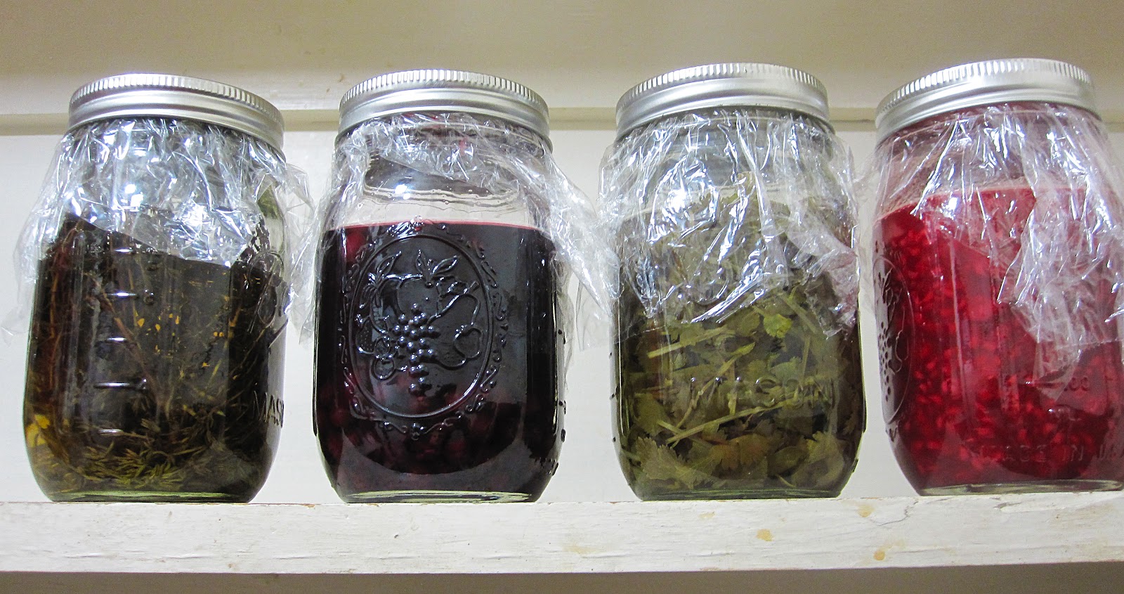 Zest! Chocolat Make your own flavor extracts!