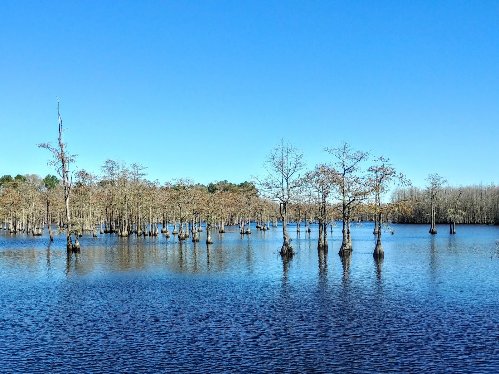 Another Mile Another Destination Blog L. Smith State Park, Twin