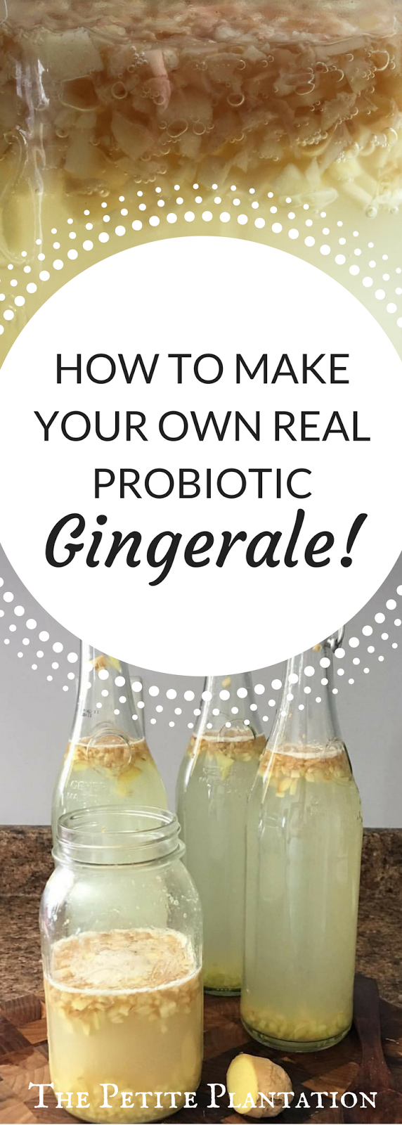 Make Your Own Ginger Ale - The Petite Plantation