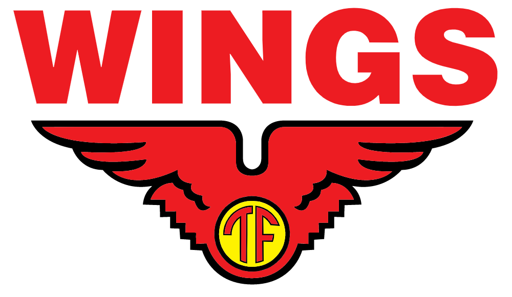 Let your head shining!: Pengalaman Rekrutmen Wings Graduate Trainee