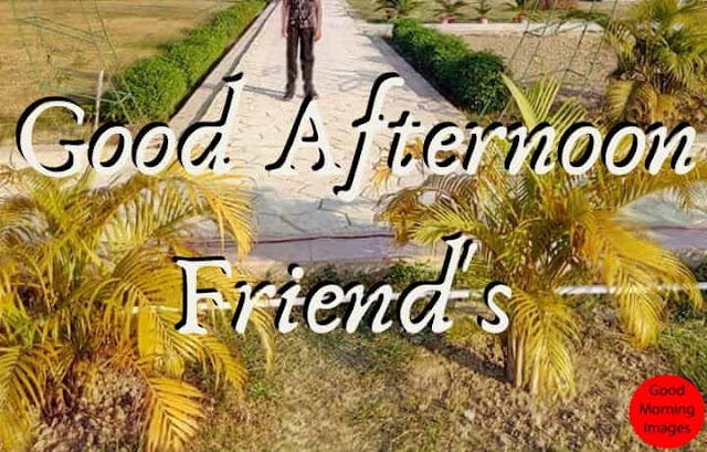 good afternoon funny quotes good afternoon funny quotes