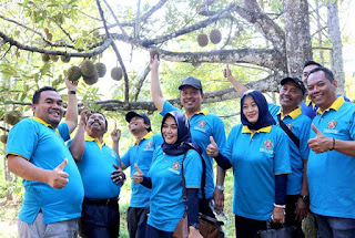 Serunya Keliling Kebun sambil Panen Durian di Nglawungan Blora