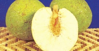 breadfruit benefits