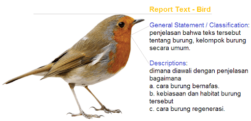 Definisi Report Text, Struktur dan Contoh Soal Definisi Report Text, Struktur dan Contoh Soal