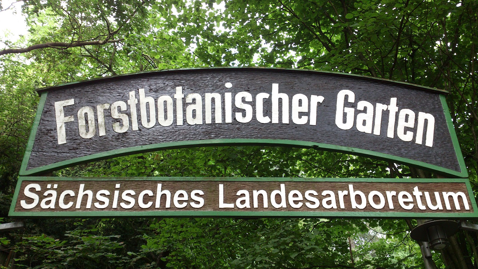 Internationale Frühlings und Sommerkurse Dresden Tharandt