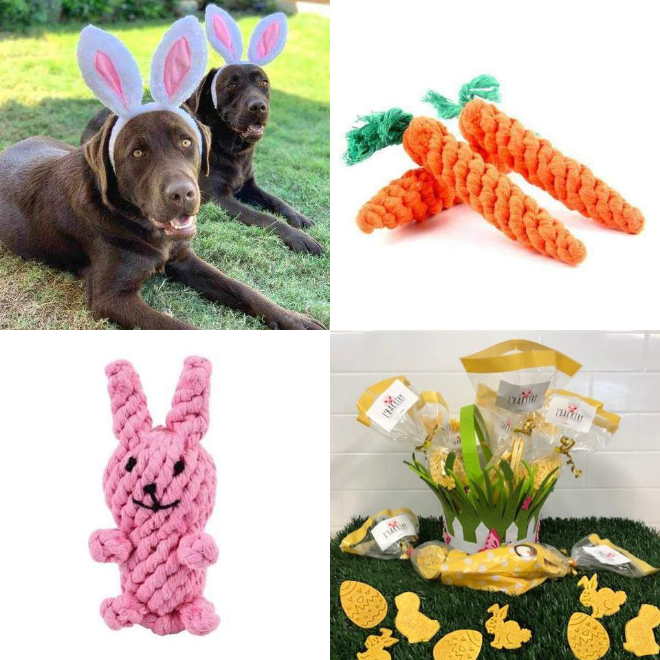 12 Eggcellent Ideas for a DogFriendly Easter Australian Dog Lover