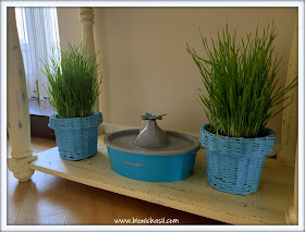 What's In The Box ©BionicBasil® My Cat Grass  - Grass Pots Potted On