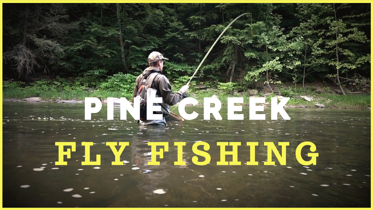 Fly Fishing Pine Creek in Pennsylvania's Grand Canyon
