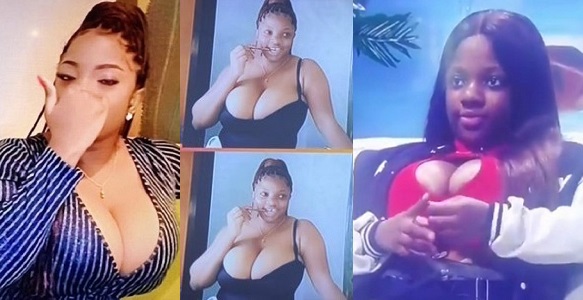 Why Biggie asked busty housemate Dorathy to leave BBNaija diary room