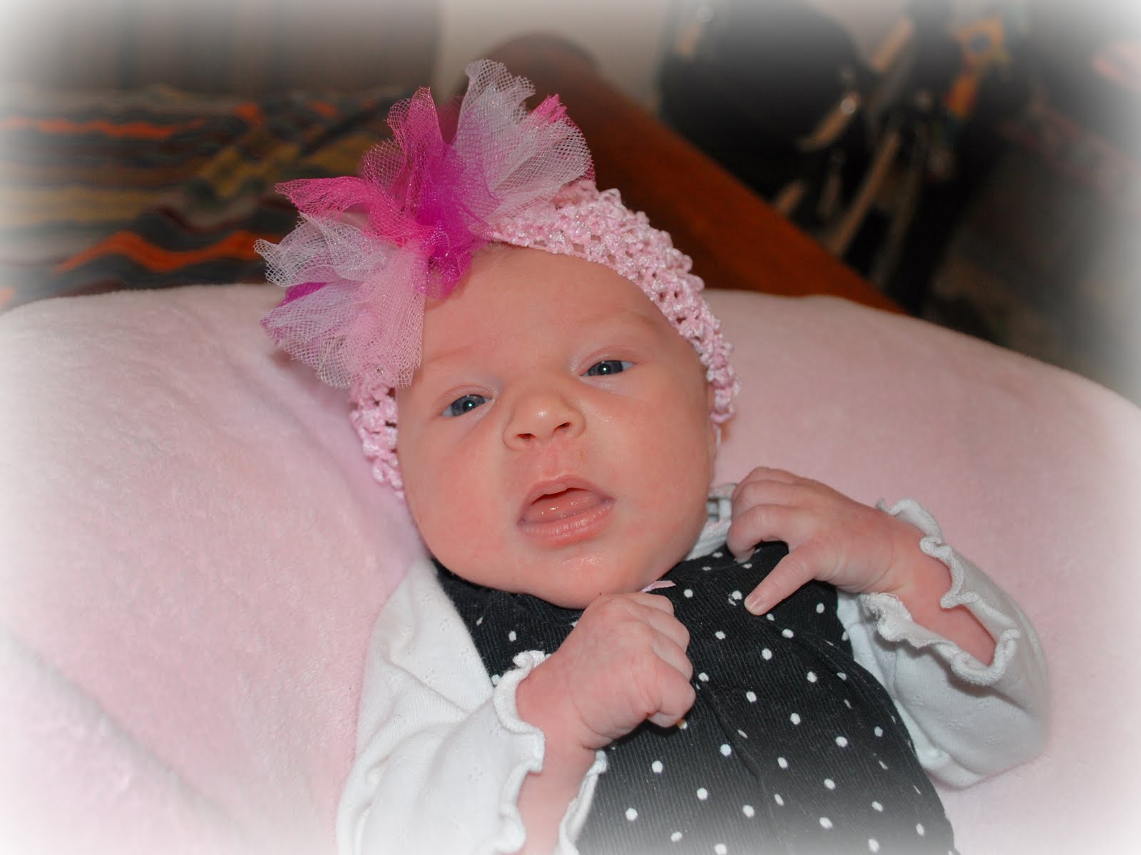 Temporary Insanity, Permanent Joy Wordless Wednesday  Hosanna's