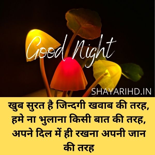 Good Night Shayari for gf | Sweet love good night sms in hindi