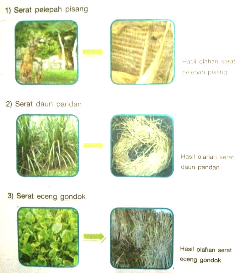 Berikut ini yang merupakan pengolahan bahan serat alam adalah