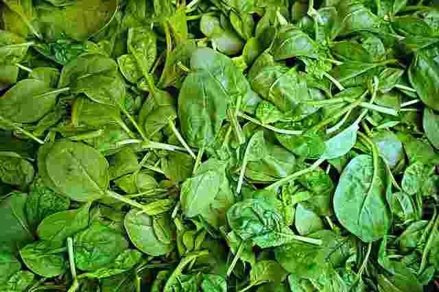 Spinach | vegetables name in hindi and english