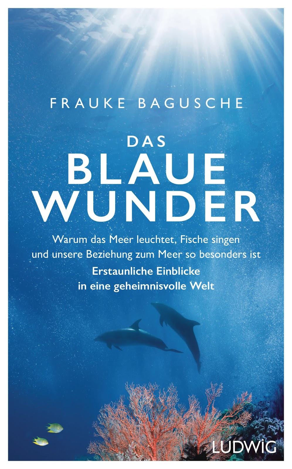 kulturstrom Das Blaue Wunder kulturstrom Das Blaue Wunder